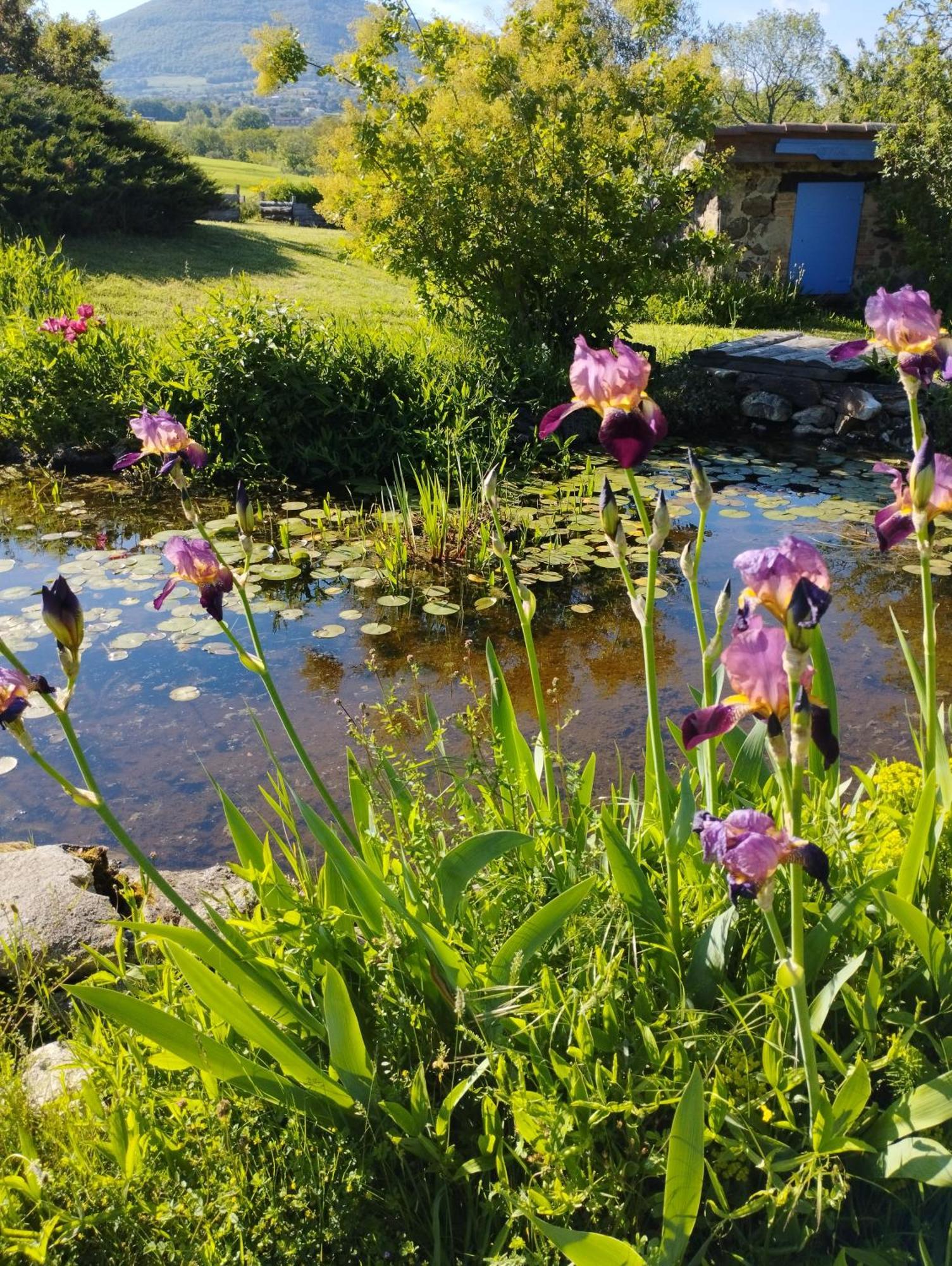La Verdine Vérin Exteriér fotografie