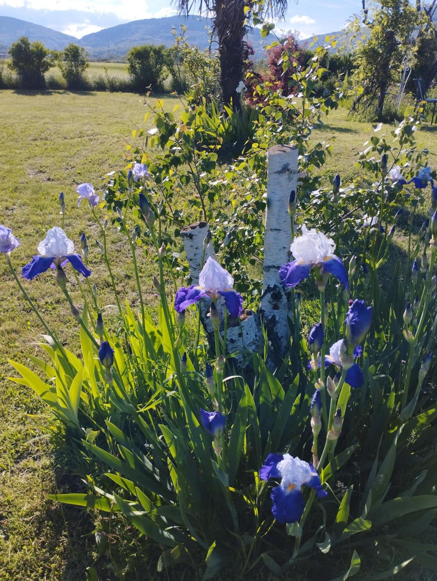 La Verdine Vérin Exteriér fotografie