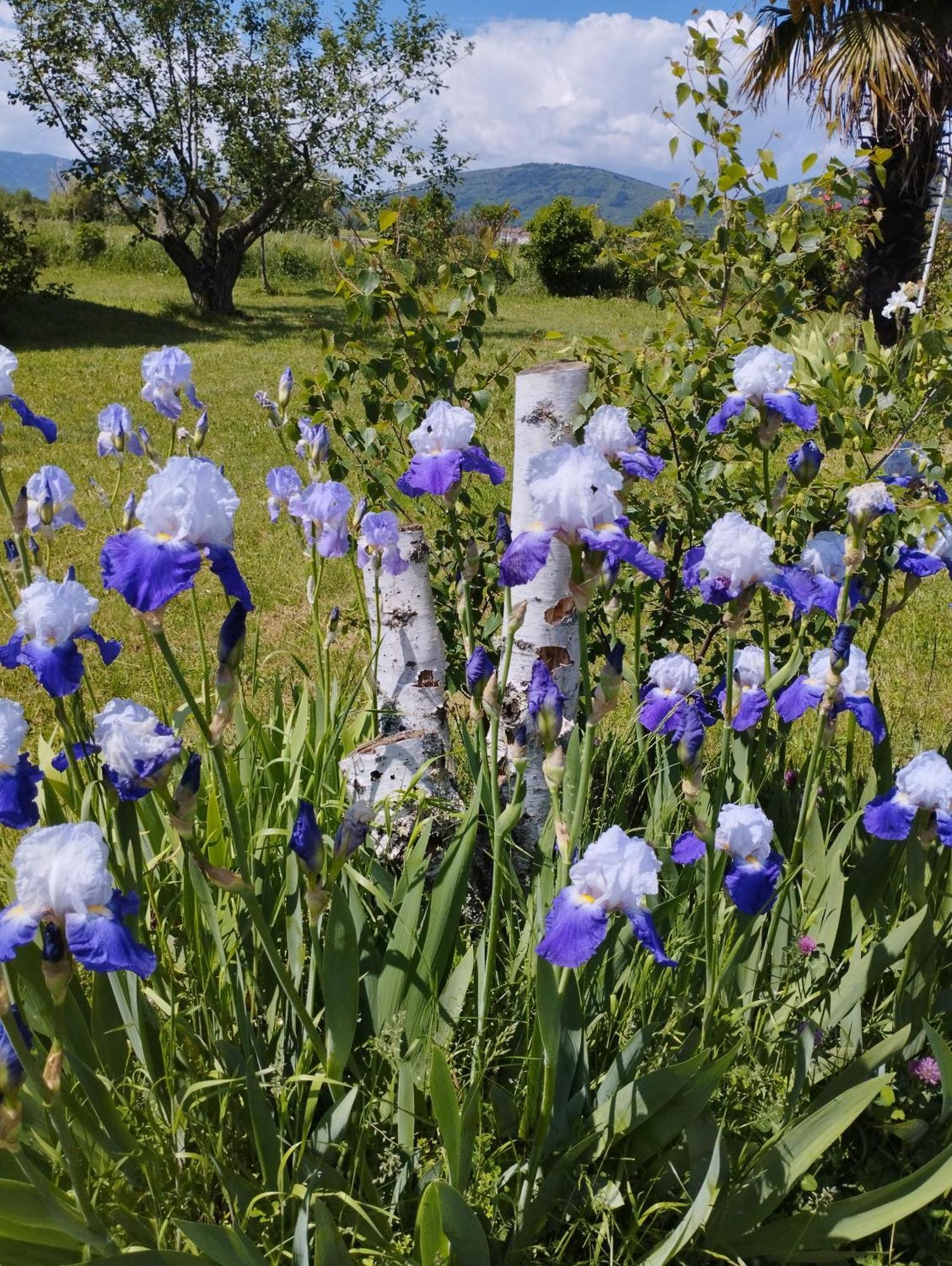 La Verdine Vérin Exteriér fotografie